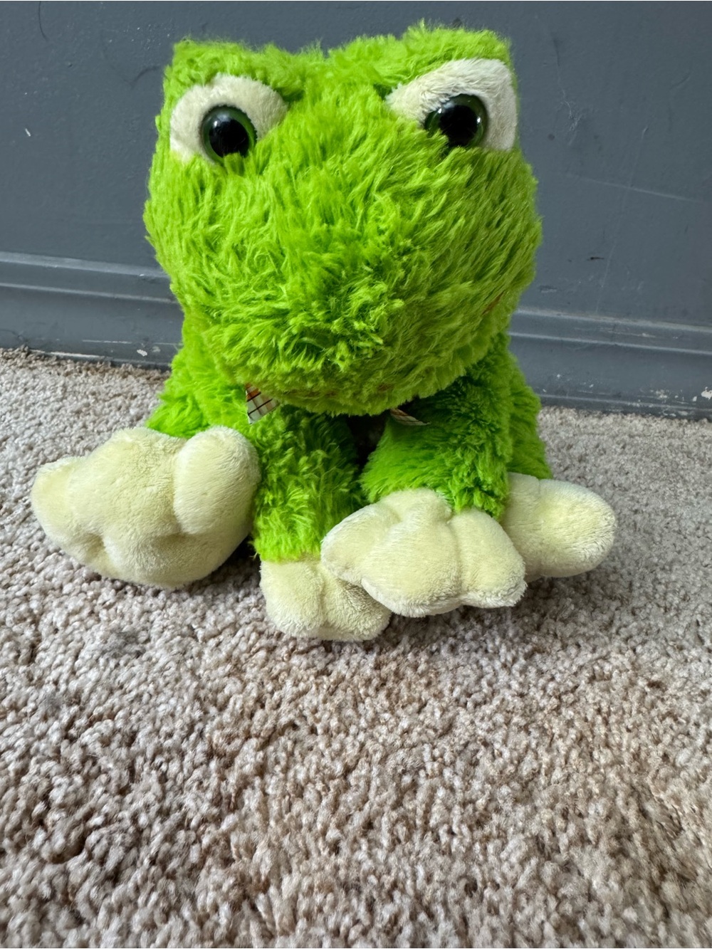 Green Plush Frog Stuffed Animal